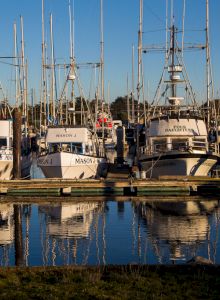 Inn At Moss Landing Point