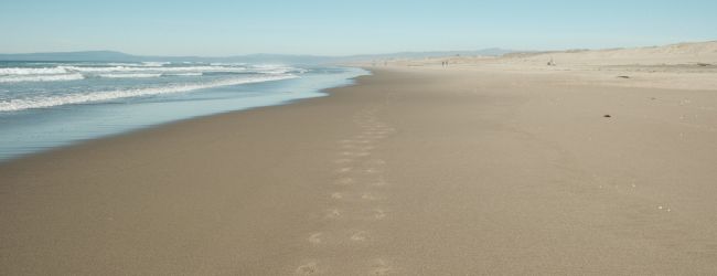 Inn At Moss Landing Point
