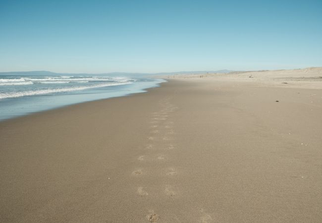 Inn At Moss Landing Point